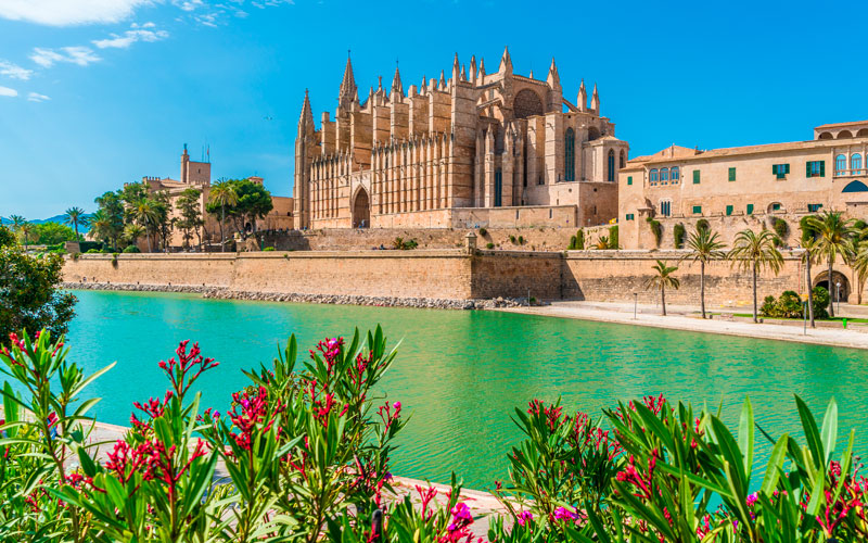 Consultor-de-SEO-personalizado-Mallorca